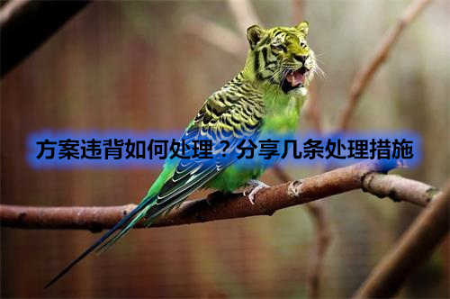 方案違背如何處理？分享幾條處理措施(圖1)