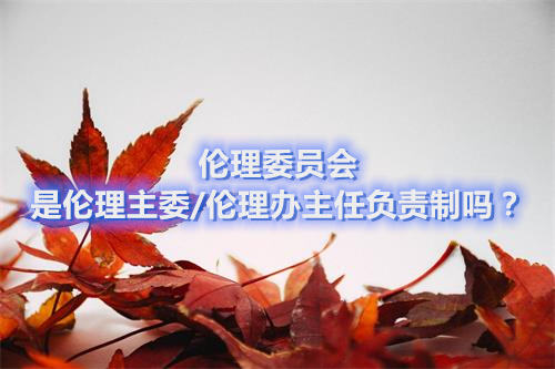 倫理委員會是倫理主委/倫理辦主任負責制嗎？(圖1)