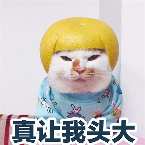 什么是臨床試驗(yàn)風(fēng)險(xiǎn)管理（怎么寫(xiě)臨床風(fēng)險(xiǎn)管理計(jì)劃）(圖2)