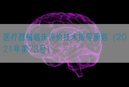 醫(yī)療器械臨床評(píng)價(jià)技術(shù)指導(dǎo)原則（2021年第73號(hào)）