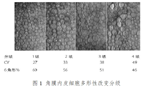 軟性接觸鏡臨床評(píng)價(jià)注冊(cè)審查指導(dǎo)原則(2023年第33號(hào))(圖2) 軟性接觸鏡臨床評(píng)價(jià)注冊(cè)審查指導(dǎo)原則(2023年第33號(hào))(圖2)