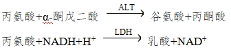 丙氨酸氨基轉(zhuǎn)移酶測定試劑注冊技術(shù)審查指導原則(2018年第8號)(圖1) 丙氨酸氨基轉(zhuǎn)移酶測定試劑注冊技術(shù)審查指導原則(2018年第8號)(圖1)