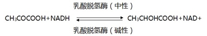 乳酸脫氫酶測定試劑盒注冊審查指導(dǎo)原則（2024年修訂版）（2024年第19號）(圖1)