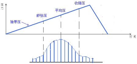 電子血壓計(jì)（示波法）注冊審查指導(dǎo)原則（2024年修訂版）（2024年第21號）(圖2)