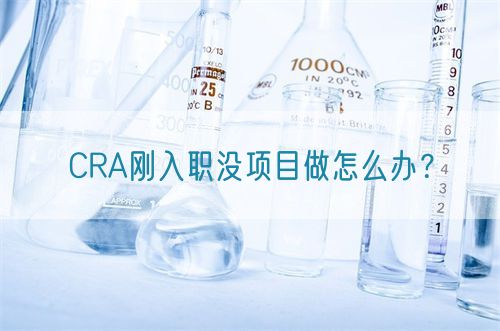 CRA剛?cè)肼殯]項(xiàng)目做怎么辦？(圖1)