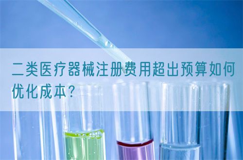 二類醫(yī)療器械注冊費(fèi)用超出預(yù)算如何優(yōu)化成本？(圖1)