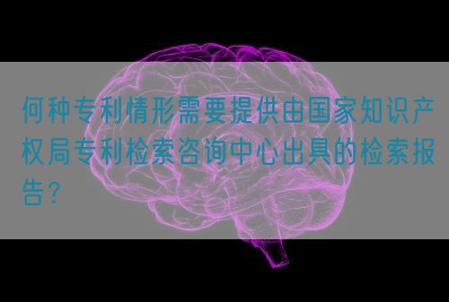 何種專利情形需要提供由國家知識(shí)產(chǎn)權(quán)局專利檢索咨詢中心出具的檢索報(bào)告？(圖1)