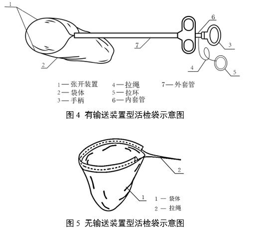 一次性使用內(nèi)窺鏡用活檢袋注冊審查指導(dǎo)原則(2025年第20號(hào))(圖4) 一次性使用內(nèi)窺鏡用活檢袋注冊審查指導(dǎo)原則(2025年第20號(hào))(圖4)