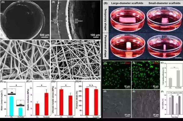 生物相容性是什么？如何準(zhǔn)備生物相容性檢測(cè)的樣品？(圖2)