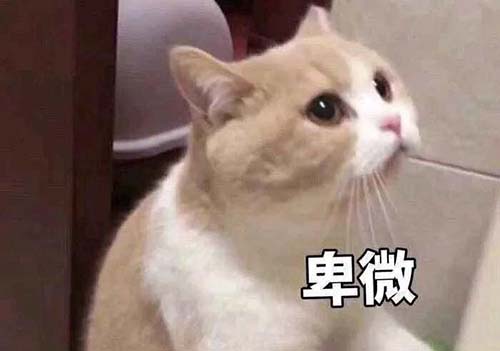 無經(jīng)驗(yàn)怎么入行CRA？入行CRA的硬性條件有哪些？(圖3)