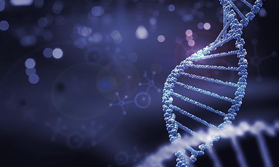 什么是Ⅰ期臨床研究？一文搞懂Ⅰ期臨床試驗全過程(圖3)