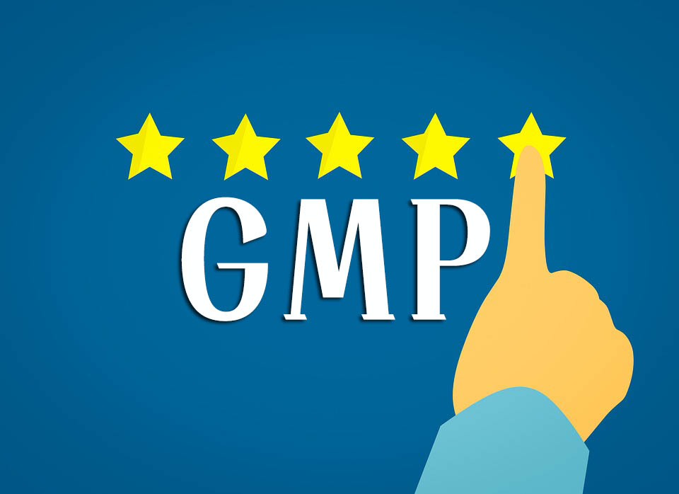 GMP知識(shí)手冊(cè)匯總（GMP專(zhuān)員、企業(yè)生產(chǎn)質(zhì)量負(fù)責(zé)人必備）(圖1)