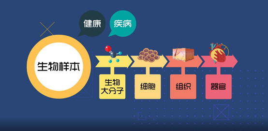 淺談CRC生物樣本管理！生物樣本采集、處理、存儲(chǔ)、運(yùn)輸全過(guò)程注意事項(xiàng)