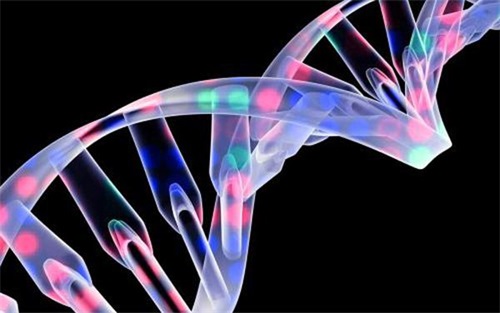 生物相容性是什么意思？怎么判斷醫(yī)療器械要做哪些生物相容性測(cè)試項(xiàng)目？(圖1)