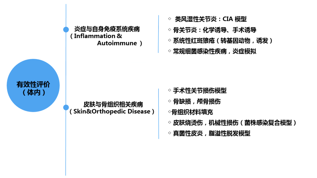 美容類(lèi)醫(yī)療器械注冊(cè)申報(bào)關(guān)注要點(diǎn)(圖4)