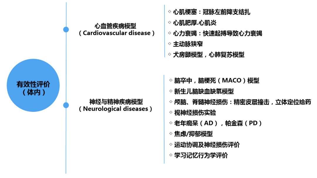 美容類(lèi)醫(yī)療器械注冊(cè)申報(bào)關(guān)注要點(diǎn)(圖6)