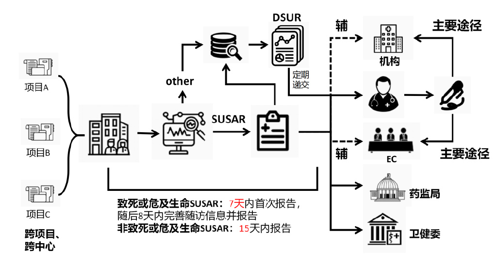 臨床試驗(yàn)安全性事件如何上報？臨床試驗(yàn)不良事件上報流程圖(圖3)
